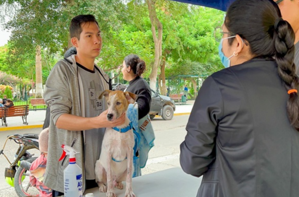 Vacantes listas para ocupar como ayudantes en ferias de adopción navideña de mascotas