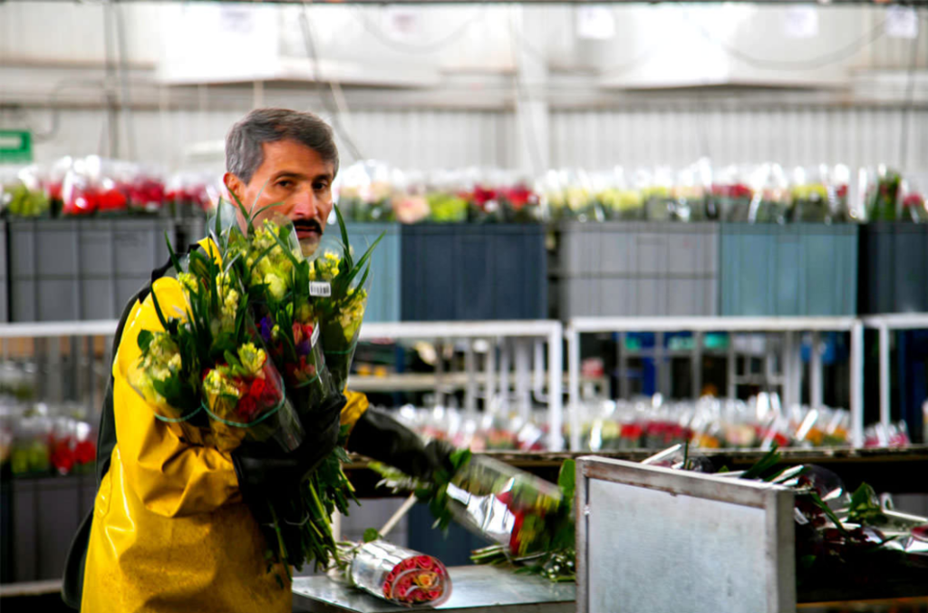 Tu empleo ideal te espera como empacadores de flores